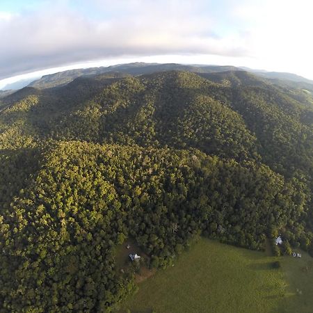 The Jungle Stays Millaa Millaa Экстерьер фото