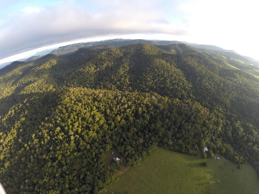 The Jungle Stays Millaa Millaa Экстерьер фото
